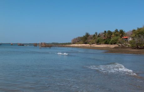 The Pemba CHannel Fishing CLub