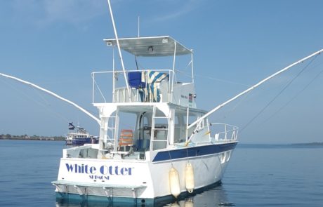 White Otter rear view