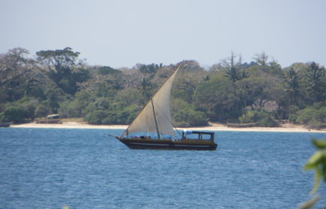 Dhow at the Pemba Channel Fishing Club