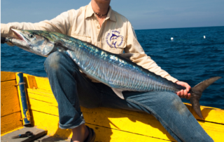 Kingfish - Pemba Channel Fishing Club