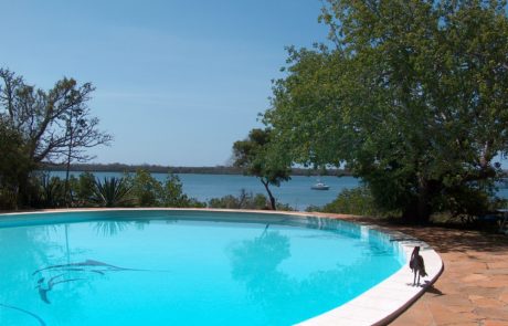 Pemba Channel Fishing Club - Swimming Pool